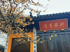 -司徒庙
