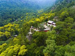 -北京上方山国家森林公园