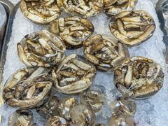 -铭聚章鱼土笋冻(松柏店)