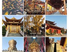 -上海东林寺(金山区)
