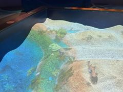 -珠海横琴国家地理探险家中心(创新方)