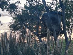 -祥源·阜阳生态乐园