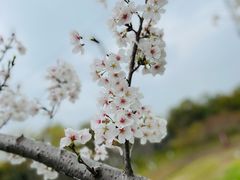 -长田漾湿地公园