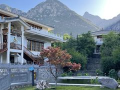 -禅宗少林·音乐大典