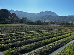 -古田会议纪念馆