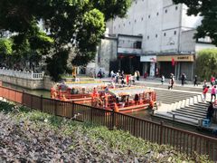 -荔湾湖公园