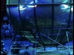 -俄罗斯国家大马戏团