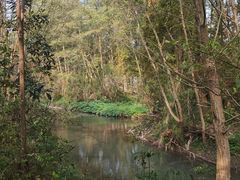 -桤木河湿地公园