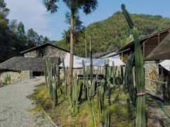 -MOJ coffee(瓯海泽雅水碓坑店)