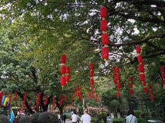 -东风公园