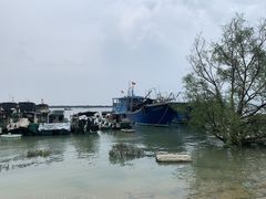 -霞山观海长廊