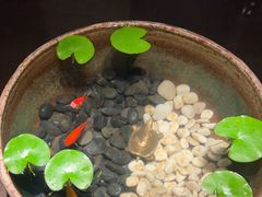 -曲水兰亭(北京四惠店)