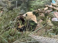 -诚如金·南宁本地菜(信息港店)