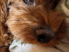 -半天妖烤鱼(和平印象城店)