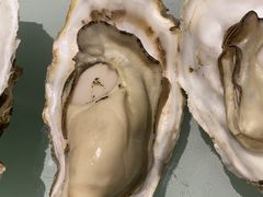 -千岛蚝高压锅生蚝·人参火锅(白云万达店)