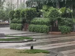 -胡桃里音乐酒馆(下沙店)