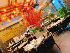 -拈菜(观音桥阳光世纪店)