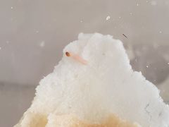 -二斗栗子(西湖道店)