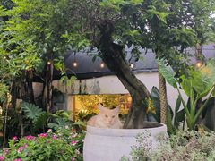 -自由生长植物工作室(深港花卉中心店)