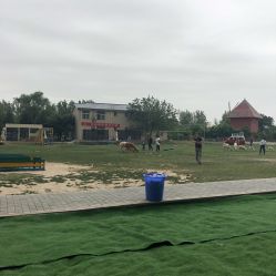 -上美四季动物农场