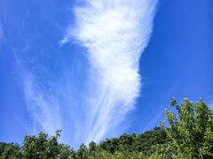 -佛慧山