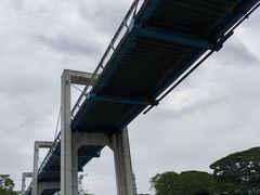 -东莞植物园