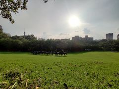 -广州雕塑公园