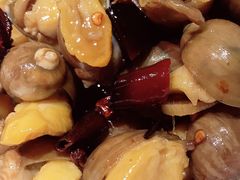辣汁浸甲鲍-海味当家·蒸锅海鲜(星海公园店)