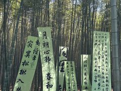 -同里国家湿地公园