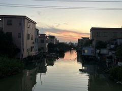 -海鸥岛