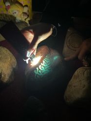 -德龙国际珠宝城