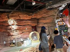 -正佳雨林生态植物园