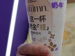 -一只酸奶牛(八一路店)