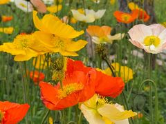 -名花谷生态庄园