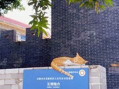 -长洲岛