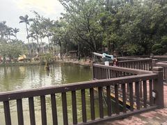 -揭东万竹园旅游景区