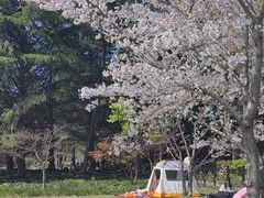 -黄兴公园