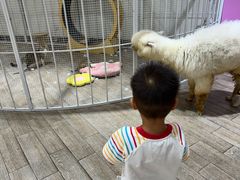 -深圳龙华星河COCO City(民治店)