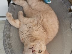 -海底捞火锅(航洋城店)