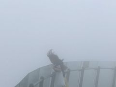-东部华侨城