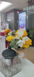 -广州粤秀医疗美容医院