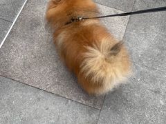 -中粮·祥云小镇