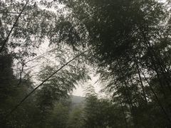 -小格里自然风景区