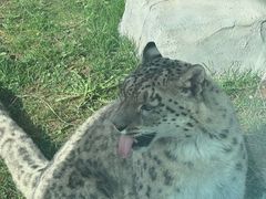 -青藏高原野生动物园