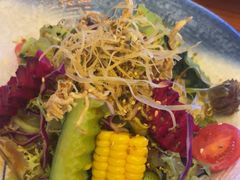 棒棒鸡沙拉-坂吉屋·居酒屋深夜食堂(龙湖店)