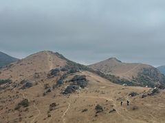 -大姆山草场