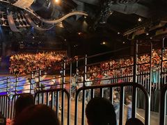 -狮子王庆典