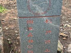 -午潮山国家森林公园