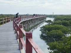 -北海金海湾红树林生态旅游区