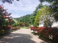 -四明山国家森林公园